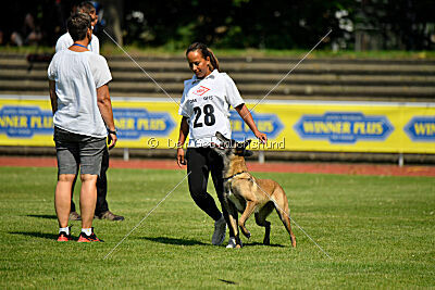 Stylish Motion`s Apple